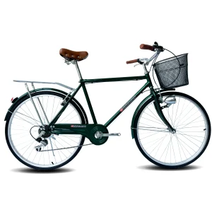 Bicicleta Alvarado Urbana Paris con canastas