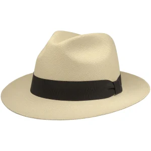 Teddy King Brisa Natural Grado 3