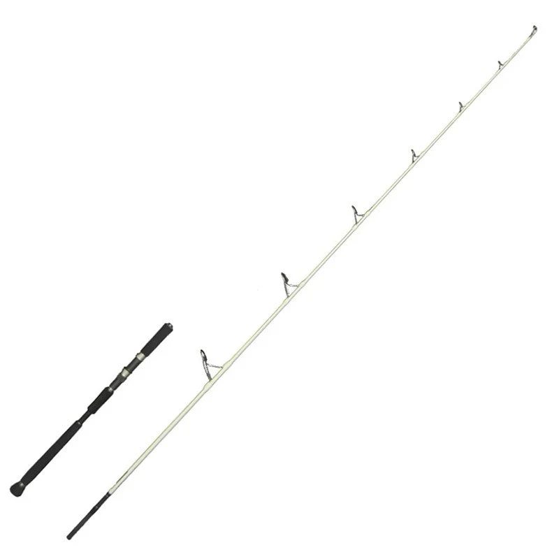 Caña de Pesca desde Embarcación Bloody Series Popping